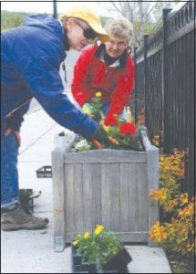 Right: Mary Lou Haas (front) and Donna Clothier give flowers a new home in the flower box next to the Senior Center parking area.