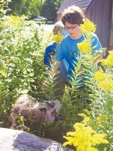 Staff photo/Jane Howard Wellesley and Adrian Howard-Larsen of Grand Marais watch over this little goat that got away from the petting zoo enclosure at the County Fair.