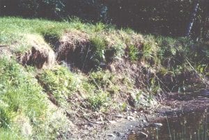 File photo The Minnesota Department of Natural Resources has numerous publications with ideas on how to prevent erosion like this from happening on your land.