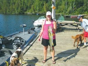 Amy Fritz of Woodbury, MN caught this beautiful fish on a shiner minnow in about 19 feet of water on Hungry Jack Lake. Inset: Fritz released the 31.5