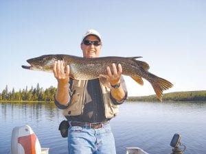 Photo by Lyle Saethre This 38-inch 15-pound northern pike was caught by David Saethre on Picket Lake, a fly-in lake in Ontario Canada. Dave's dad Lyle Saethre missed netting the northern twice with the third try a charm. The fish was released after photo and measurement. In addition to its large size, the northern has a very prominent lower jaw.