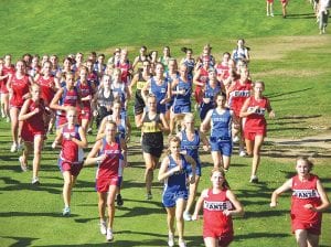 Photos courtesy of the team The Viking girls’ cross-country running team is making its way to state! The girls’ team finished second, right behind Esko at the Section 7A meet in Cloquet on Thursday, October 29, earning