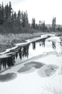 Cold weather is bringing ice to area lakes. Stump Lake on the Gunflint Trail is just starting to freeze up.