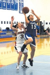 Nelson led all scorers with 17 points when the Cook County Vikings hosted the Cromwell Cardinals at home on Tuesday, January 19.