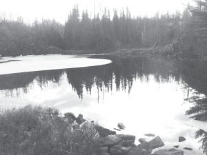 Lake waters turnover in the fall and spring replenishing the deep waters with oxygen.