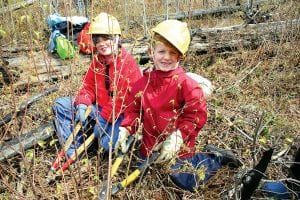 Madeline (left) and Finn McCormick of St. Paul were busy clearing brush and grass from around baby trees just off the Kekekabic Trail during the third annual Gunflint Green Up Saturday, May 8, 2010. They were tending to seedlings that had been planted by volunteers last year in an effort to restore the forest after the 2007 Ham Lake Fire. This year’s event brought 170 volunteers, some who live on the Gunflint Trail, some who have cabins on the Gunflint Trail, and some who live outside the county.