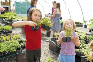 Great Expectations School students Aurora Schelmeske and Annie Lynch check out the lovely forget-me-nots at the school’s pancake breakfast and plant sale on Saturday, May 29. There was a great turnout for pancakes and many plants were sold. There are a few plants left—contact the school at 387- 9322.