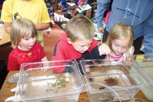 Kids of all ages—48 adults and 74 kids—enjoyed the Underwater Adventures Aquarium visit to the Grand Marais Library on Tuesday, June 15. Kids learned about all sorts of aquatic animals as they “paddled” their way down the Mississippi. After a lively presentation, kids were allowed to touch—with one finger!— a horseshoe crab, sea stars and (left) a sea urchin.