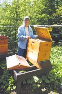 Janet Ditmanson standing by the beehive boxes in her family’s garden. In the two years they have kept bees, they have not harvested any honey, but they do enjoy watching them work. A not-completelyunderstood malady has been killing off honey bees worldwide, to the point where people in some places in China are using feathers to hand-pollinate fields, Janet said. Without honey bees, humans would be reduced to eating root vegetables and corn. The Cook County Hobby Beekeepers are working to make Cook County free of honey bee mites, one of the significant problems that is killing off bee colonies.