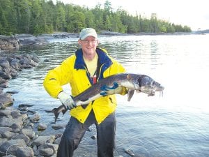 Paul Dahl caught this 46-inch lake sturgeon at the base of Chatterton Falls, Quetico Provincial Park. It took 1 hour and 50 minutes to land this fish on an eight-pound test line. The fish was photographed and released.