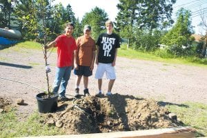 Daniel Ditmanson, holding one of the trees the boy scouts planted at the Cook County Higher Education parking lot last week, poses with Aaron Breitsprecher and Kyle Martinson, two scouts who joined with a team of scouts and parents to refurbish the buildings parking lot.