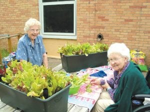 Mable Stoltz and Laverne Hennessy stay busy preparing salad greens. Residents at the Care Center have enjoyed eating fresh salads on several occasions at supper time—thanks to productive earth boxes and good weather.