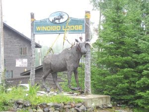 The Windigo Lodge moose has been a landmark for Gunflint Trail residents for more than a decade, so folks passing by were shocked and dismayed to see that the life-sized moose reproduction had toppled on July 19. Char Ekroot-Nelson said the moose’s ankles gave way after more than a decade in the elements. The moose was crafted by Char’s husband, Bud Nelson, and famed northland artist, Jim Korf in Moose Valley in 1993. It had an unpleasant incident there—it was shot several times before Bud and Yarrow Korf erected it at Windigo. Inset: A few days after the fall, the moose was up again “in traction.” In a phone call at press time, Char said the moose was standing on his own, his ankles rejuvenated by Yarrow Korf. There are plans to reinforce the base so the moose will be standing for future generations to enjoy.