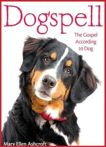 Cover photo courtesy of the author Mary Ellen Ashcroft’s tiny tome offersan insightful and inspirational look at the relationship between humans and God—and dogs.