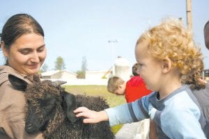 Jordan Gotchie, age 1, eagerly petted Jinsey Smith’s pet sheep at the Cook County Fair. Jinsey also brought a sweet-faced, adorable llama for kids and adults to pet and get to know.