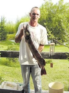 Joe Carlson took the day off from his fishing guide job and “went to the office”where he caught this very nice 36-inch northern. As usual, Joe reported that the big fish was caught at an undisclosed area lake.