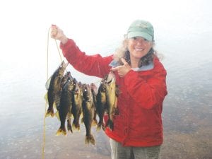 Above: Chris Angelo of Grand Marais shows off a nice catch of walleyes and smallmouth bass caught at an “area lake” recently. A little bit of rain didn’t deter Chris and her fishing guide, Vince Ekroot of Little Vince’s Guide Service.