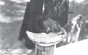 Social events are common on the Gunflint Trail, but squirrels are not invited very often. This postcard was shared with the Cook County News-Herald by Rosemary Koscielak of St. Paul. It is from a collection of postcards from her mother’s youth.