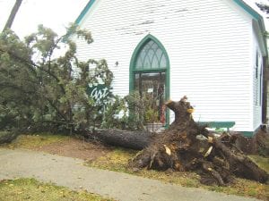 Top: This beautiful evergreen has graced the entrance of the Grand Marais Art Colony since the building was first built and used as a Catholic Church. The beautiful tree blew down Wednesday morning in the windstorm. By the end of the day most of the tree had been cut up and removed. Above: The building that suffered the most damage Wednesday was the Grand Marais Municipal Pool, which lost its shingles and insulation. No word yet on when the pool’s roof will be repaired or when the pool will be reopened.