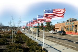 In addition to hosting a dinner for veterans, American Legion Post 413 puts up this beautiful flag display on Wisconsin Street each Veterans Day.