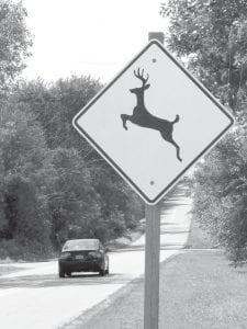 Look out for deer, according to the Minnesota Department of Public Safety’s county-by-county report of deer-motor vehicle crashes, Cook County had 139 property damage crashes and 7 crashes that resulted in injuries from 2005 – 2009.