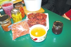 Some of the things made with homegrown and local ingredients—canned venison, Norwegian salsa (no chilies), beet-ginger sauerkraut, bread and butter pickles, dried carrot chips, potato-beet patties, pumpkin-apple soup, and apple jelly.