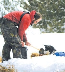 Odin Jorgenson of Grand Marais feeding his dogs at the Sawbill checkpoint on Monday, January 31. Jorgenson fed them well—his team brought him across the John Beargrease finish line in Duluth at 3:44:32 p.m. on February 2, earning fifth place.