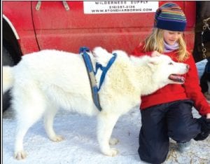 Linnea Henrikson enjoys some time with one of the friendly dogs from MoeTown Kennels, owned and operated by Frank and Sherrie Moe.