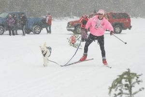 Julie Collman of Grand Marais was an “Iron Musher, “ competing in both the skijoring and sled dog Mush for a Cure events. However, she got the biggest workout skijoring, since her partner, Kenai, wasn’t doing much pulling!