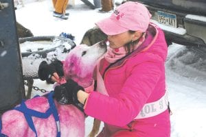 Before taking off in the Mush for a Cure fun run, Chris Schreiver put the finishing touches—pink scarves—on her pink dogs. And added a kiss for good measure!