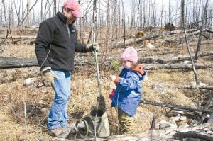 The Gunflint Green Up event is a family event. Kids, parents, and grandparents can work together to plant trees and to release (clear surrounding brush) from young trees. Sydney Plumb of White Bear Lake is pictured here with her dad at the Green Up in 2009.