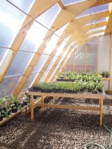 The greenhouse at Great Expectations School offers fundraising— and educational— opportunities for Great Expectations students. Community members can visit the greenhouse and possibly purchase a plant or two on Saturday, May 21 from 8:00 a.m. to 1:00 p.m.