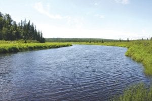 Questions have been raised about risks to the fish population of the 23-mile-long Poplar River after the state legislature authorized an increase in the amount of water Lutsen Mountains can take from the river for snowmaking each winter. This view is where the upper 20.4 miles, which holds most of the river’s fish population, meets the steep portion running through the ski area and down into Lake Superior.