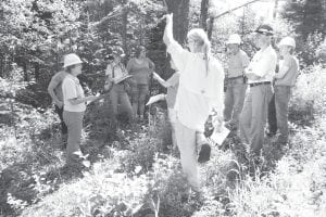 The U.S. Forest Service conducted a tour on July 18 for anyone interested in learning about the focus of this year’s vegetative management plan, called the Lima Green Project. The public is invited to provide input on the proposed plan through August 12.