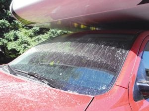 Property owners to the east of the Taconite Harbor Energy Center in Schroeder were startled on Thursday, August 25, when a mechanical problem at the power plant sent a cloud of fly ash out of the smokestacks— covering rooftops, decks, vehicles, trees and flowers. Days later the fly ash was still evident on a vehicle in the yard of Steven Lukas.