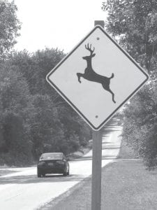 It’s that time of year—most deer-vehicle crashes occur between October and November. Stay alert and remember not to veer for deer!