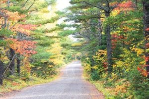 There are many beautiful roads to travel in Cook County in the fall. Nancy Ullrich of Poplar Lake shared this lovely look at the Pine Mountain Road.