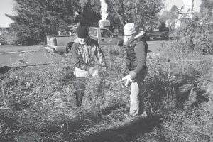 As they get the library rain garden shaped up, Kerrie Fabius and Ilena Berg of Cook County Soil & Water discuss the merits of the plants in the rain garden at the Grand Marais Library on Thursday, October 20. (L-R)