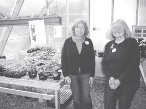 Penny Ortmann (left) and Max Linehan at the Great Expectations School greenhouse. The greenhouse is available for GES students because of a grant from Cook County Extension and the Lloyd K. Johnson Foundation—and Master Gardeners like Penny and Max, who help with the youth gardening program.