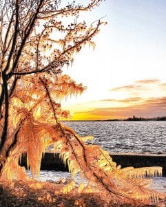 Although the holiday decorations around Grand Marais are lovely, nothing can compare to nature’s handiwork. Local photographer Don Davison snapped this ice-covered mountain ash tree last week.