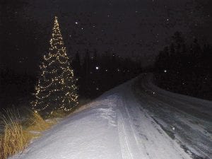 The huge Christmas tree stands along the side of the Gunflint Trail, far from any houses, a delightful surprise for travelers.