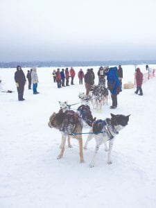 Odin Jorgenson, in the No. 1 bib, finished first in the 2012 Gunflint Mail Run 120- mile sled dog race, crossing the finish line at 8:13 a.m. on Tuesday, January 31. Jorgenson was greeted at the finish line by his father, Arleigh Jorgenson, a longtime musher and founder of the original Gunflint Mail Run sled dog race.