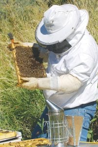 Thinking about becoming a beekeeper? The Cook County Extension Service is offering a class through the University of Minnesota on Saturday, Feb. 18.