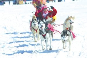 The Mush for a Cure is a riot of pink—pink-clad mushers and decorated dogs. These excited huskies belong to the 2012 Mush for a Cure honoree Ana Genz-Wall and her husband Chris. Ana is a 15-year breast cancer survivor. See more of the Mush for a Cure antics on page A3.