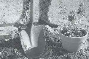 University of Minnesota Master Gardeners are offering a morning of interesting garden tips on Saturday, June 2. The event will include yoga stretches for gardeners and information on growing vegetables in containers as well as how to create wonderful flower combinations in containers.