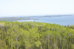 The Mount Josephine Wayside Rest offers an awe-inspiring view, sure to give motorists a few moments of peace along their journey.