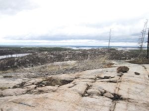 The view from Chik-Wauk’s Blueberry Hill Trail, though fire-scarred, is still beautiful, as the landscape stretches far into the distance. It is also a perfect spot for bird watching. For more information about programs at Chik-Wauk, call (218) 388-9915 or visit www.chikwauk.com.