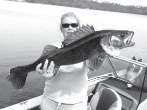 Kathy Bernier shows off the monster walleye she caught on Northern Light Lake in Ontario. Kathy released the 32-inch walleye.