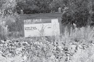 The Cedar Grove Business Park land was set aside in the 1980s for commercial development. In April 2005, the Cook County - Grand Marais Economic Development Authority (EDA) selected the name Cedar Grove Business Park for the development. Then-Governor Tim Pawlenty visited Cook County for a groundbreaking ceremony in May 2006. At that time there were several reservations to purchase lots and confidence that the EDA would be able to pay the bonds let by the city of Grand Marais for the project. Roads and infrastructure to the park were completed in 2007. Unfortunately most of the lot sales fell through and the city of Grand Marais is now working to find a way to make the bond payments.