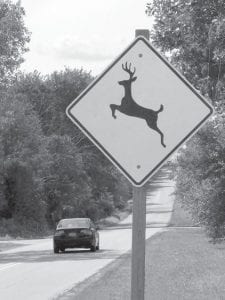 It seems that deer never cross at the spots noted with this familiar sign. Minnesota drivers should be on the lookout for deer wherever they drive.